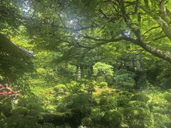 -三千院