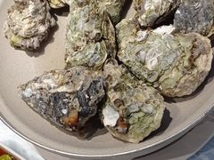原汁蒸生蚝-都市阳光海鲜城(青山湖店)