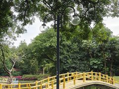-晓港公园