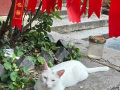 -长春观