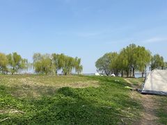 -漕湖湿地公园