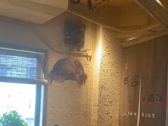 -泥糊破店小酒馆·团建聚餐(南京西路店)