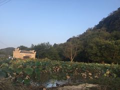 -上甘棠村