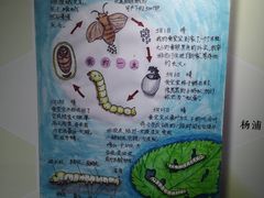 -上海昆虫博物馆