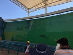 iphone_upload_pic-北戴河圣蓝海洋公园