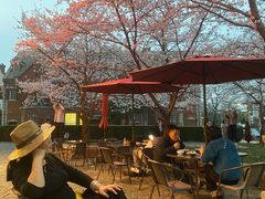 -星巴克臻选(思南公馆店)