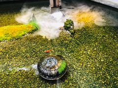 -几荷·恰似故人来(秀水广场店)
