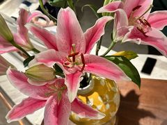 -南堂馆·新川菜(春熙路店)