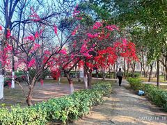 -咸阳湖景区-古渡公园