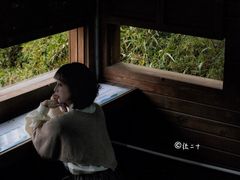 -华侨城湿地公园
