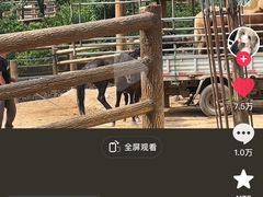 -太原动物园