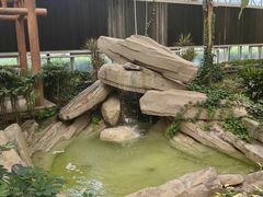 -南宫五洲植物乐园