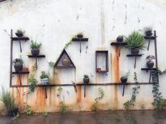 -婺源梦里老家大型山水实景演出