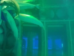 -上海海昌海洋公园-冰山北极馆
