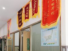 -伟伟宠物医院·瑞派猫友好医院·猫科(光谷店)