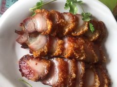 -荔枝红五号农庄