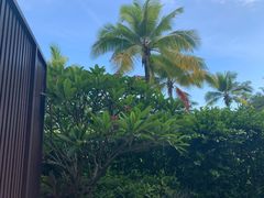 -石梅湾艾美度假酒店