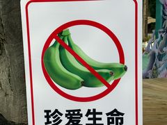 -洛阳白云山景区