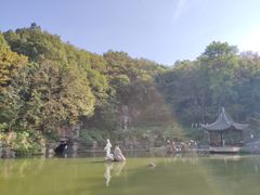 -陶祖圣境风景区