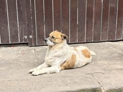 -磁器口古镇