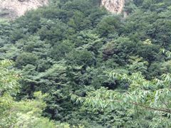-云梦山