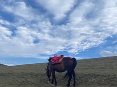 -大山包景区售票处