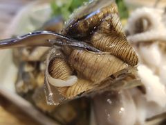 土笋冻-铭聚章鱼土笋冻(松柏店)