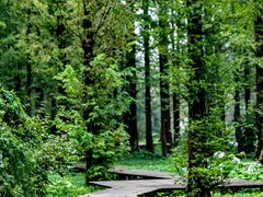 -国家植物园南园