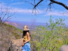 -阳台山自然风景区