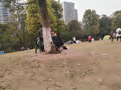 -重庆彩云湖湿地公园