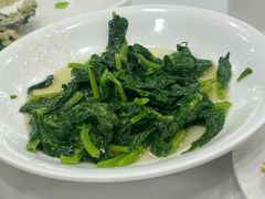 白酒有机豆苗-瑞福园联谊餐室(茂名南路店)