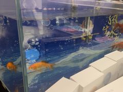 -TONG POWER游泳培训学校(西单山水宾馆校区)