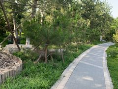 -西海子公园