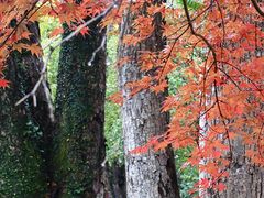 -剑河仰阿莎温泉小镇