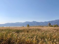 -野鸭湖国家湿地公园