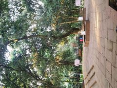 -张坝桂圆林公园