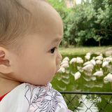 遛娃｜广州动物园20元的快乐