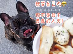 生煎-张记汤馆(嫩江路店)