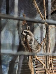 -酷嗒动物文化乐园(cutezoo西溪乐天城店)