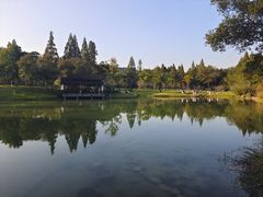 -杭州植物园