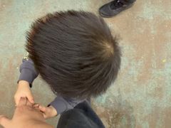 -广州长隆国际大马戏