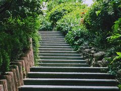 -宝鸡植物园