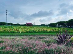 -嘉北郊野公园