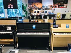 -柏斯琴行(汾阳店)