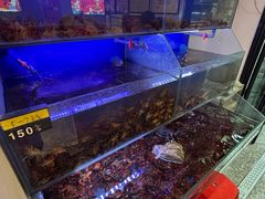 -虾铺子龙虾·私房菜(金源花苑店)