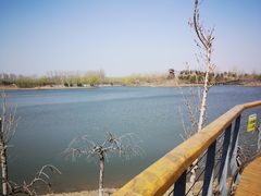 -东郊湿地公园