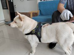 -美联众合24小时·皮肤科·外科·全科诊疗中心(华苑分院)