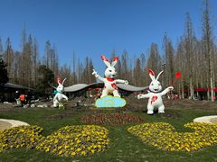 -东平国家森林公园