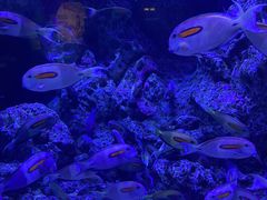 -成都浩海立方海洋公园