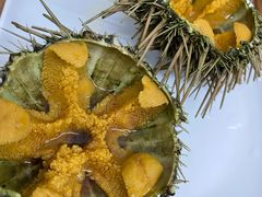 -海胆小馆(东北水饺·春柳店)